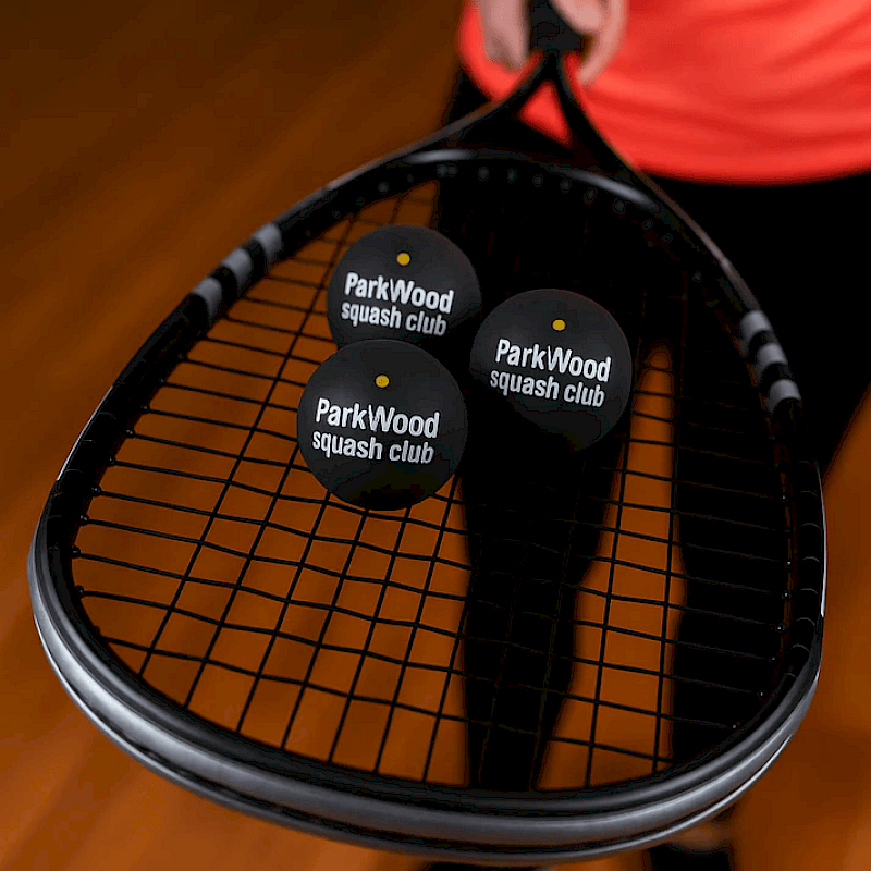 Dunlop Competition Squash Ball (Printed Balls)