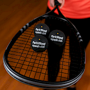 Personalised Dunlop Competition Squash Ball 3 pack