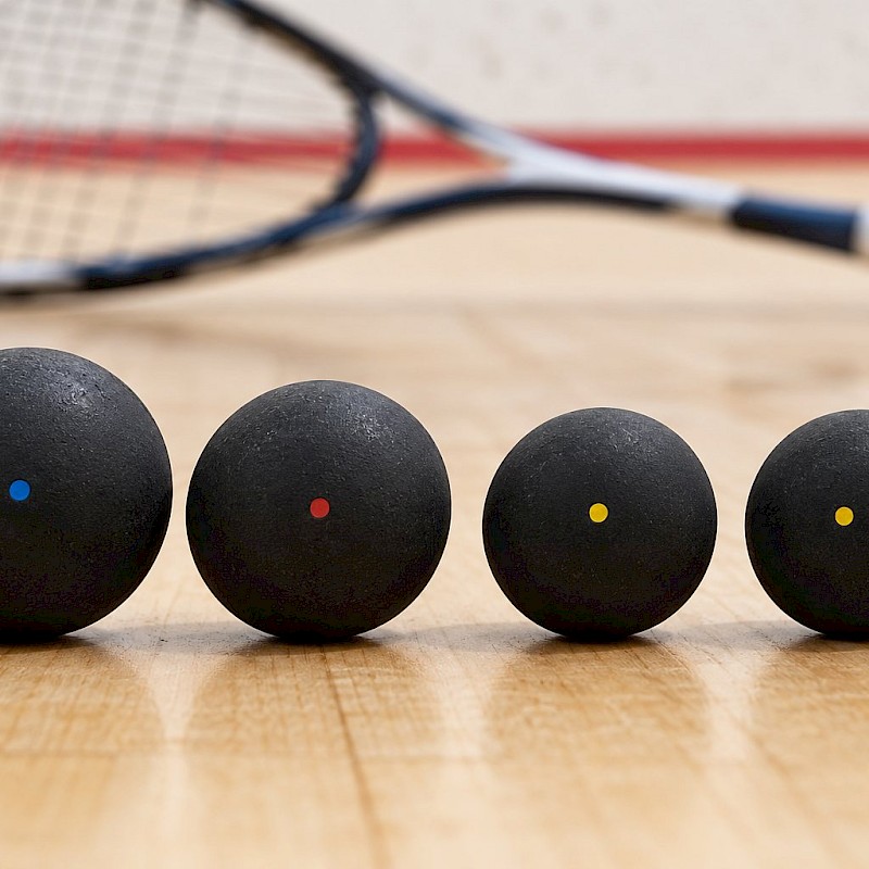 Four squash balls marked with blue, red, single yellow and double yellow dots